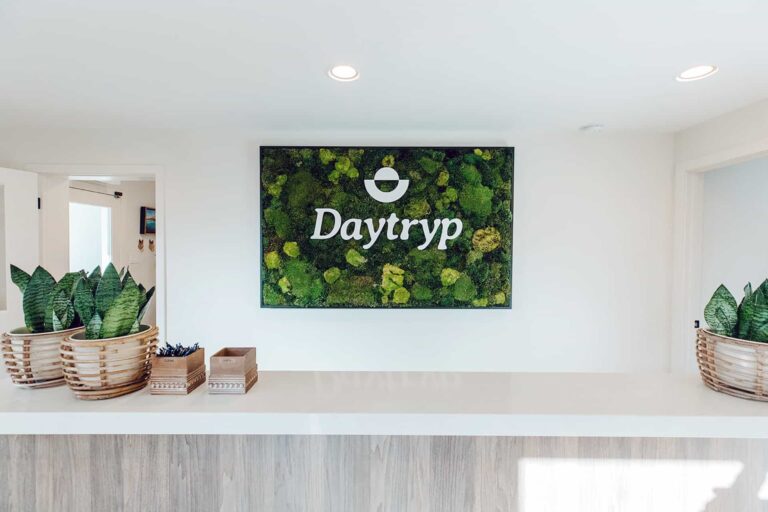 A reception counter with potted snake plants and a large green wall art piece with the Daytryp logo and text behind it.