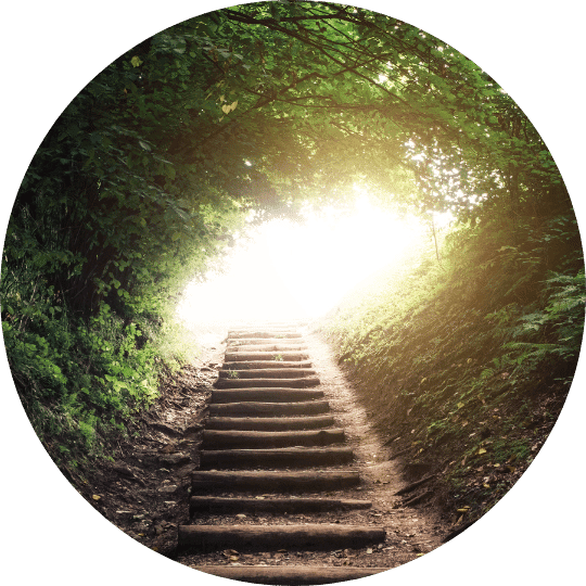2 - Daytryp RX A circular image of wooden stairs leading up a path surrounded by green foliage towards bright light.