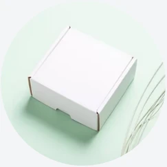 img-shipment - Daytryp RX Minimalist white shipping box on light green background with decorative grass.