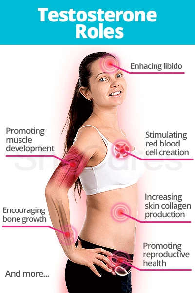 testosterone roles - Daytryp RX Infographic: Testosterone Roles including enhancing libido, muscle development, bone growth, red blood cell creation, skin collagen production, and reproductive health.