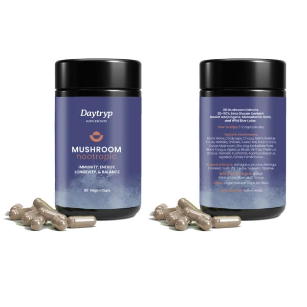 mushroom nootropic
