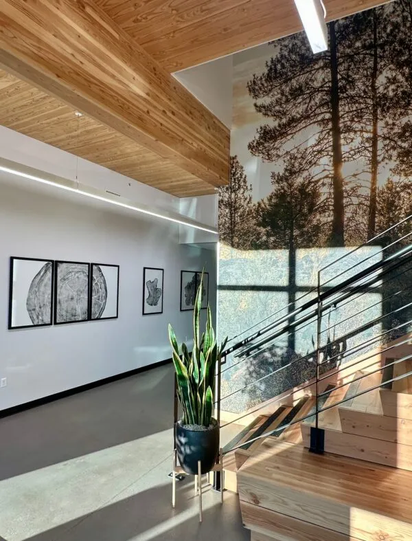 A modern hallway with concrete floors and wooden ceilings. The walls feature framed tree ring prints and a forest mural. A large snake plant sits near a wooden staircase with a metal railing.