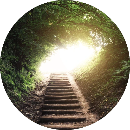 2 - Daytryp RX A circular image of wooden stairs leading up a path surrounded by green foliage towards bright light.